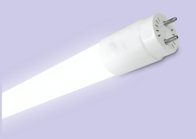 Świetlówka LINIO LED T8