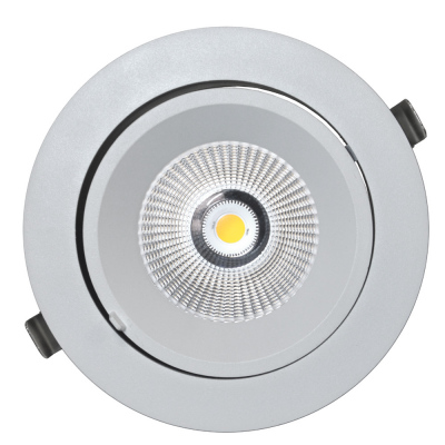 Oprawa Oprawa downlight regulowana LED biała