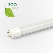 Świetlówka LED ECO LINE T8
