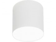  Nowodvorski Point Plexi Led White M