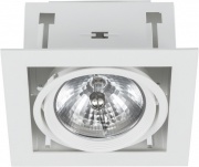 Downlight I