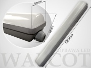  Elektriko Oprawa led WLCT 20w 60cm DW IP65