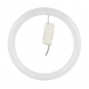 Led T9 Light