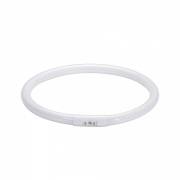 Świetlówka okrągła T5 55W 2GX13 300mm ciepła barwa