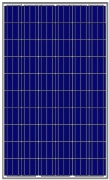 Panel solarny Amerisolar AS-6P30