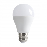Żarówka LED A60 LED N