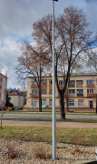  Elektriko Słup stalowy oświetleniowy stożkowy 2,5mm 3-6m