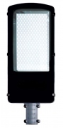  Elektriko Lampa uliczna LED Ren IP67