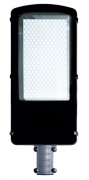  Elektriko Lampa uliczna LED Ren IP67