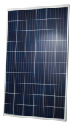 Panel fotowoltaiczny Qcells Q.PLUS-G4.3 285W SF 1670×1000×32 mm