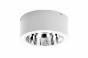 Oprawa downlight DLN 245