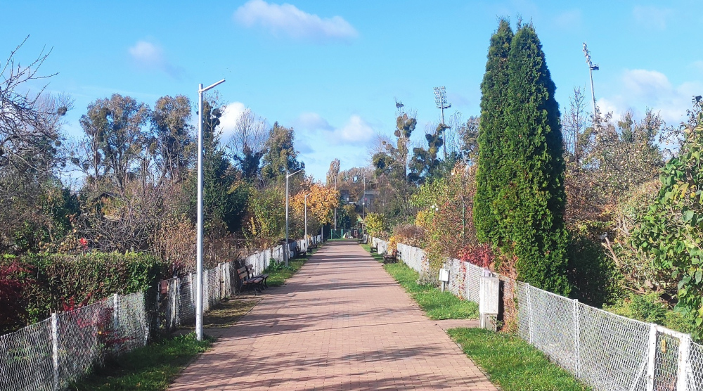 Oświetlenie terenu ROD Gajowice we Wrocławiu