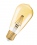 Vintage 1906 Led  Edison 60 Fil Gold