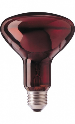 R95 Ir 100w E27 230v Red 1ct/25
