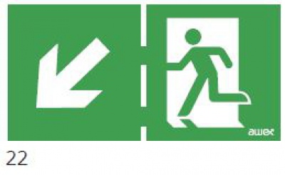 125x250 Piktogram 22 Ukośna Strzałka Góra/dół Chłopek W Drzwiach Logo Awex (iso7010)