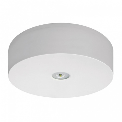 Oprawa Axn Ip65 Led 3w 325lm (opt. Otwarta) 2h Dwuzadaniowa Biała