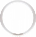 Master TL5 Circular 40W/827