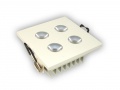 Downlight Led Power Gaby  4*1w Biały Dzienny