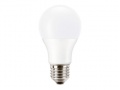 Pila Led 100w A67 E27 Cw Fr Nd 1ct/6