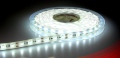 Taśma LED CBRS 3528 biała zimna CC 5m/300diod