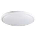 Plafoniera LED Omnicron LED 24W-NW-O